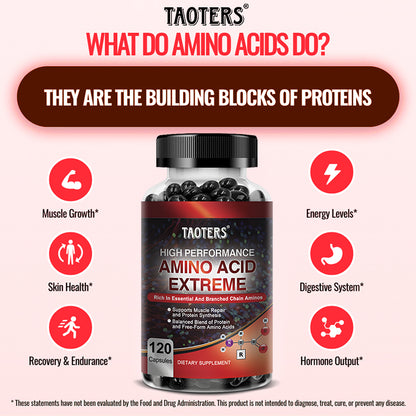 Taoters® High Performance Amino Acid Extreme Supplement